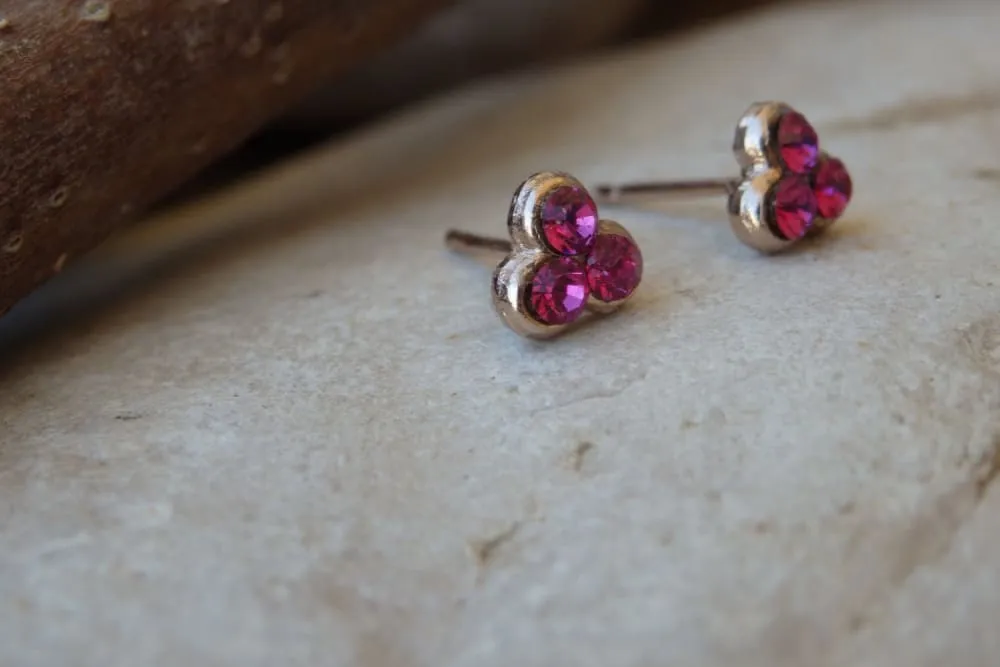 Dainty Fuchsia Earrings