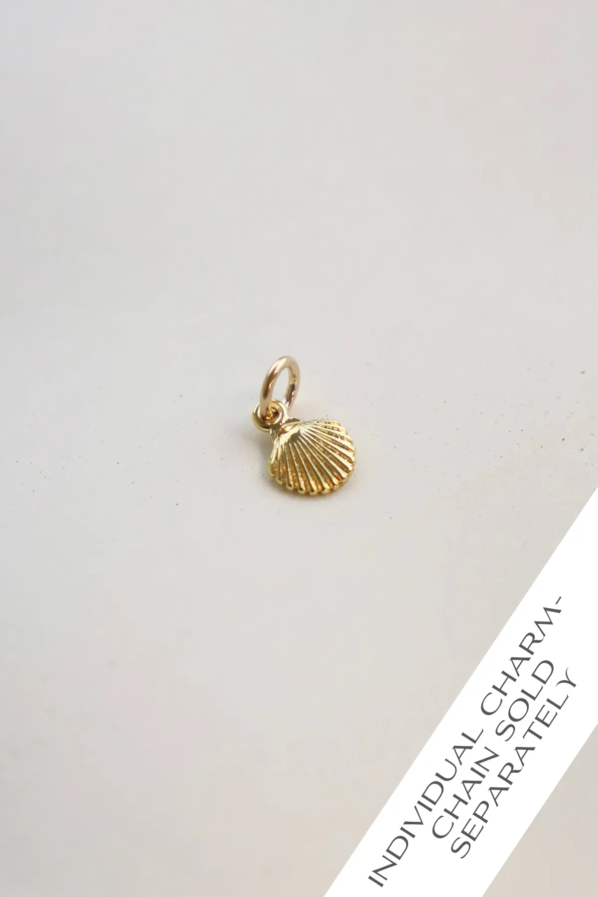 SHELL CHARM