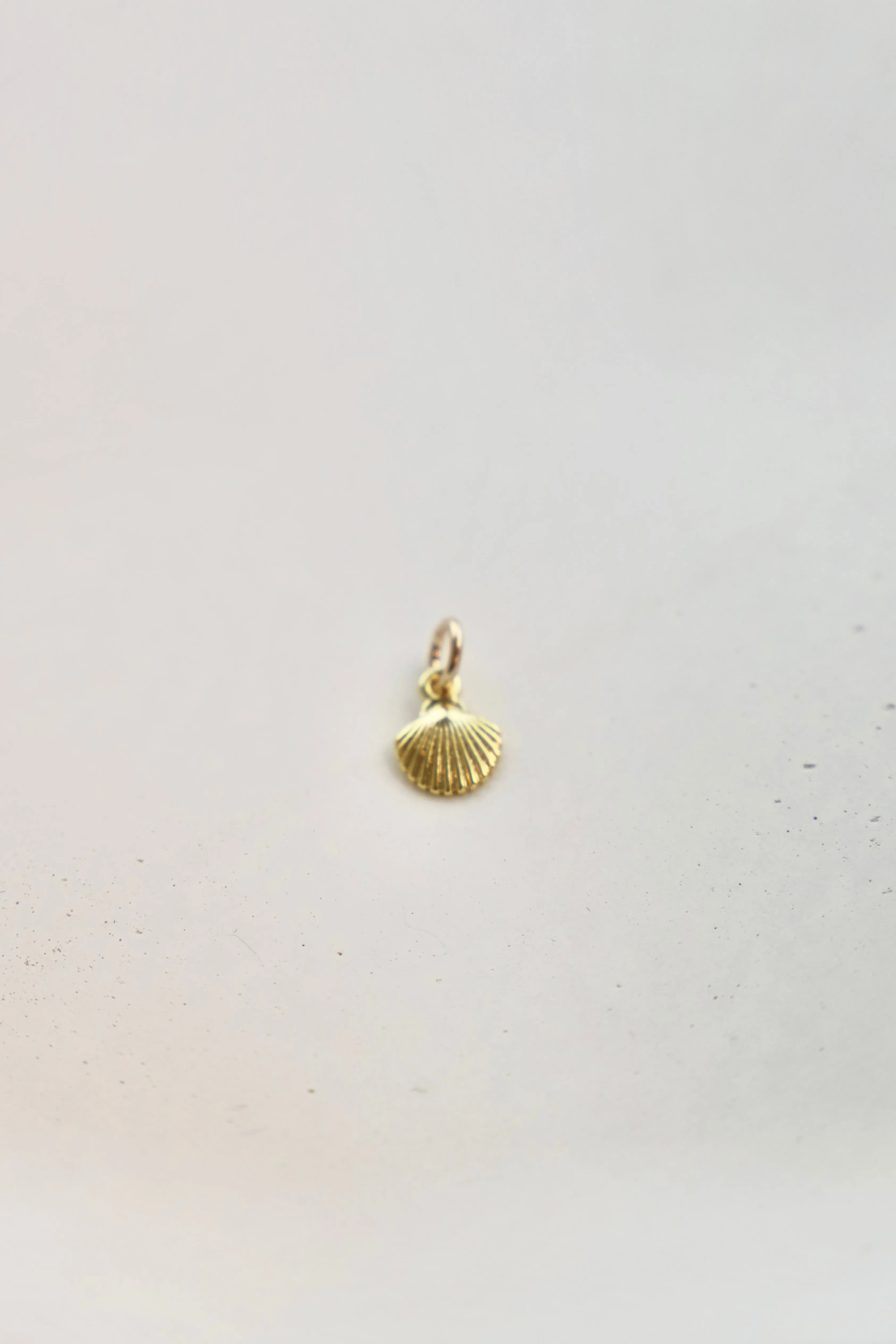 SHELL CHARM