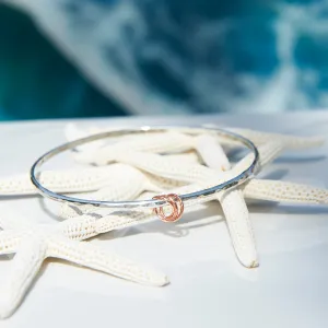 Silver Bangle with Gold Rings