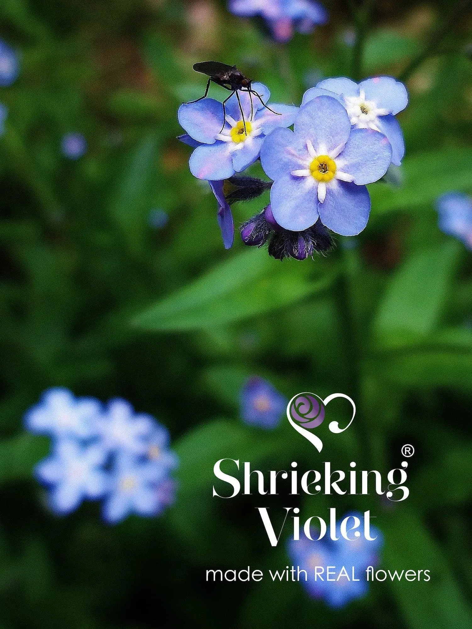 Sterling Silver Forget-Me-Not Bangle with Real Flowers | Shrieking Violet®